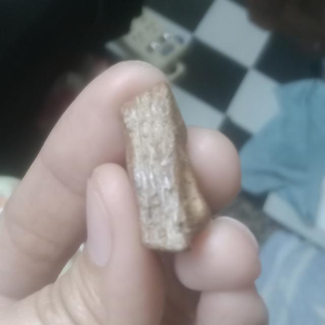 พระนางพญา สังฆาฏิ กรุวัดนางพญา พระเก่าจากเมืองพิษณุโลก