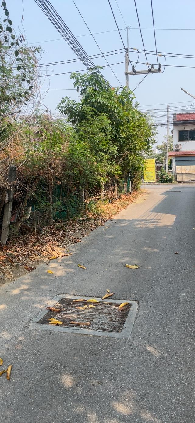 ที่ดินลำพูน อำเภอเมือง ติดถนนสันเหมืองเหนือ 3