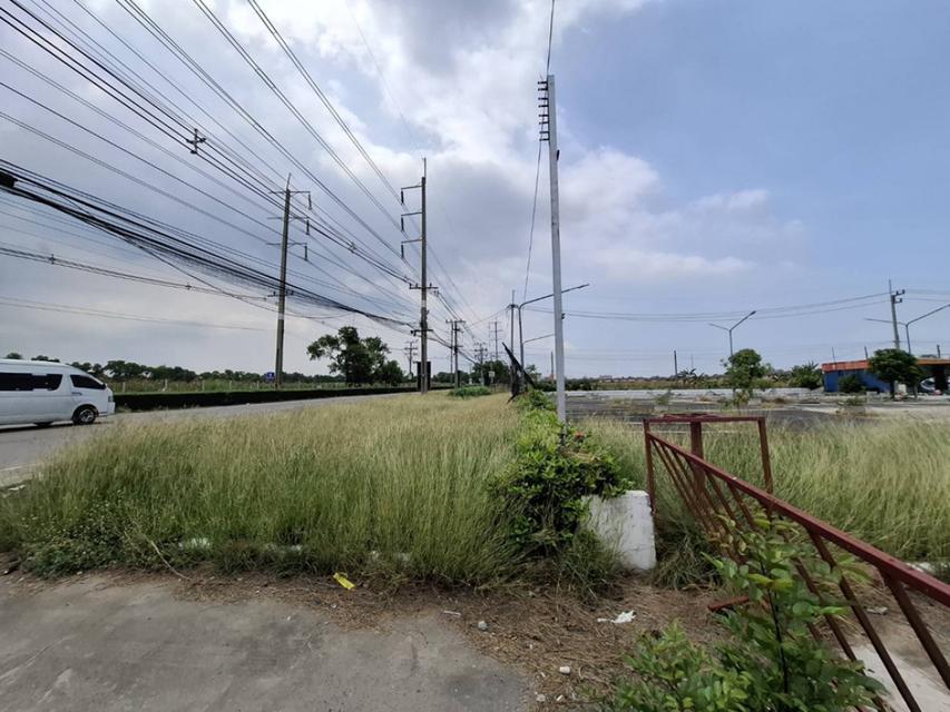 ขายที่ดินแปลงสวย คลองสอง ทำเลศักยภาพ ใกล้รังสิต 9-1-21 ไร่ หน้ากว้าง เหมาะทำโครงการ – Community Mall, พาณิชย์, โกดัง, ท 5