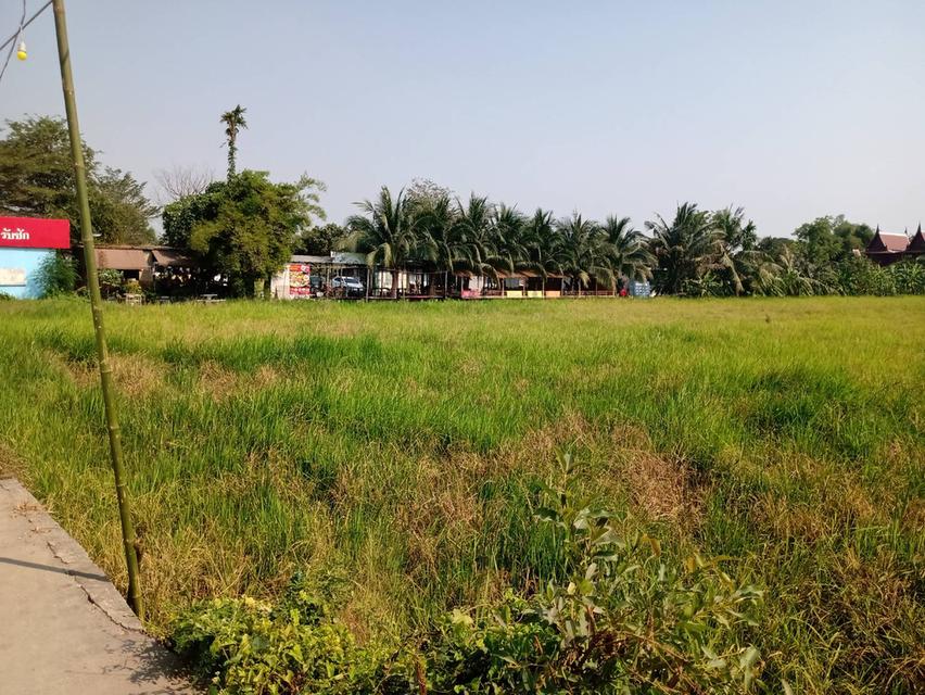Sale large land about 9,600 sqm.  at Thairaman Road Hathairath 4