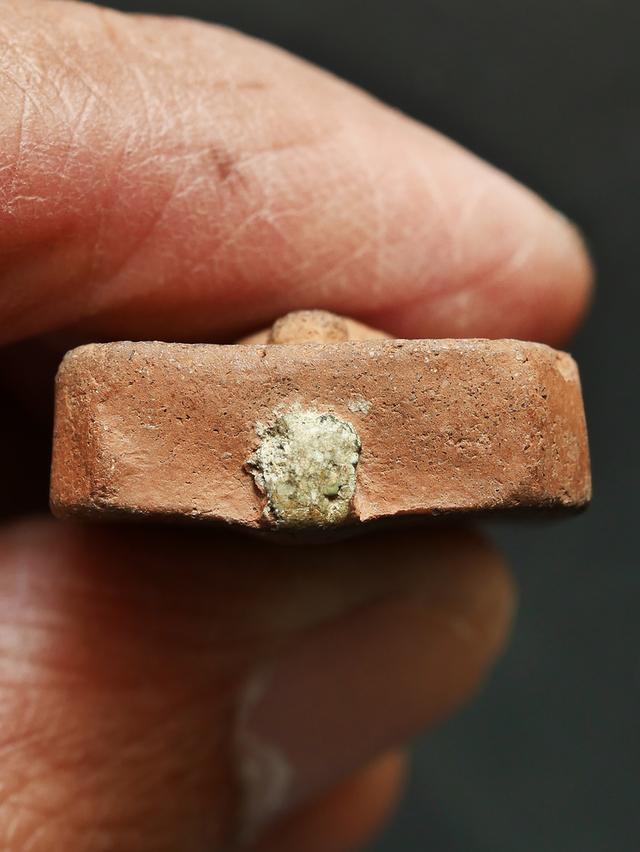 พระหลวงพ่อปาน วัดบางนมโค พิมพ์ขี่ปลากัด...เก่าๆ 12