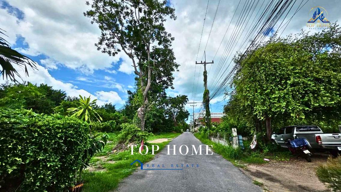 🏝️ ขายที่ดินเปล่า ทำเลดีมาก ใกล้หาดสุขเสมอ ชะอำ จ.เพชรบุรี 4