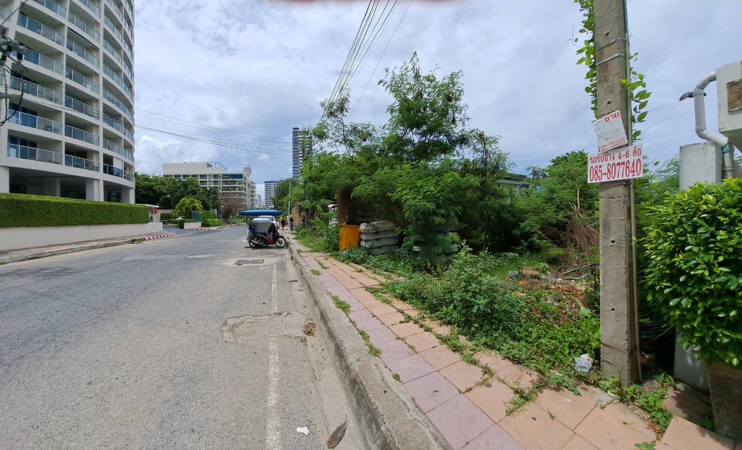 ขายที่ดินพัทยาติดทะเล 2งาน3.1 ตรว. 9