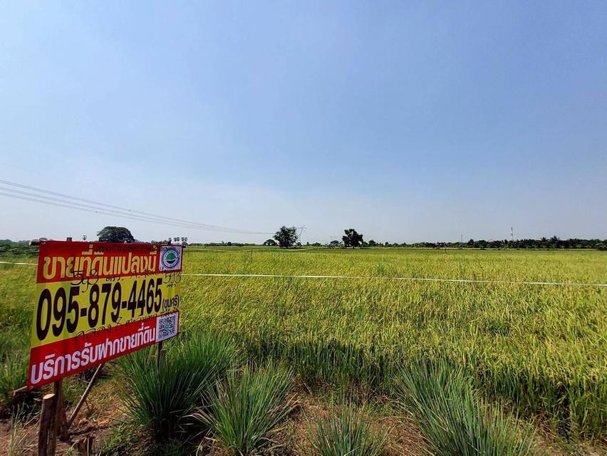 ขายถูกที่ดิน 593 ตรว ติดถนนสาธารณะ คลอง8 หนองเสือ ปทุมธานี 8