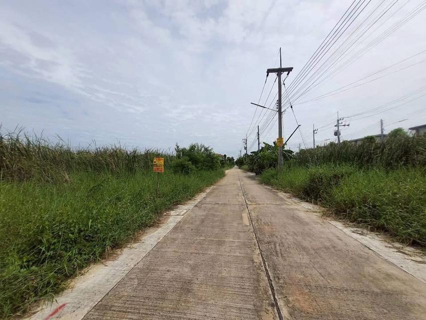 ขายด่วนที่ดินใกล้มอเตอร์เวย์ 50 ตารางวา ติดถนนคอนกรีตสาธารณะ ชอย คลองสี่ตะวันออก 14 อ.คลองหลวง จ.ปทุมธานี 4