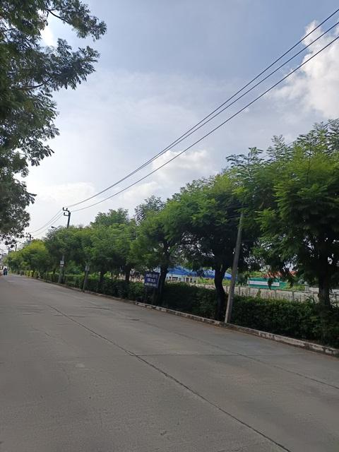 ขายที่ดินจัดสรรทำเล วัชรพล ตร.วาละ 55,000 บาท 4