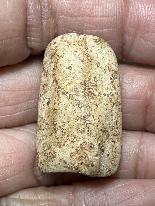 🙏พระคงลำพูน🙏พระกรุเนื้อชิน องค์ละ 800 รูปที่ 7