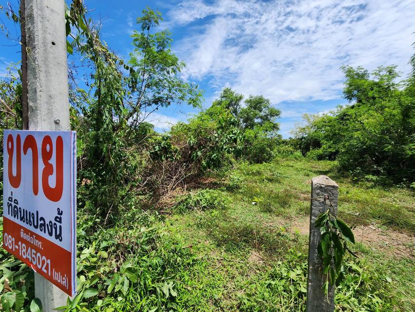 ขายที่ดินโฉนด อ.ทุ่งฝน เนื้อที่ 105 ตรว. 11