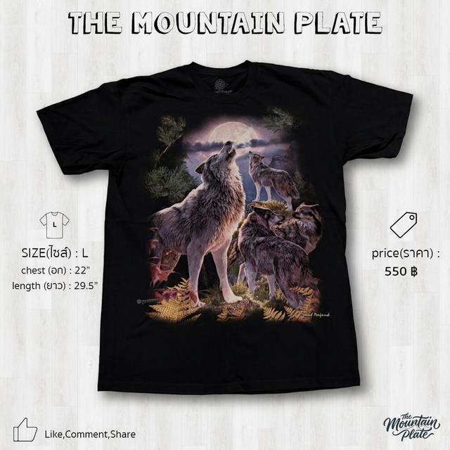 เสื้อยืด The Mountain