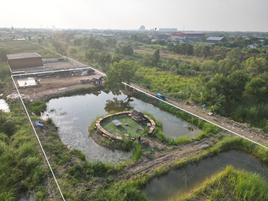 ที่ดินปทุมธานี คลอง4 4