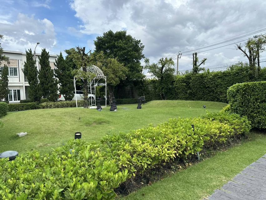 🏡💥 ขาย/ให้เช่าด่วน! ทาวน์โฮม 2 ชั้น Ever City รามอินทรา-จตุโชติ (3 นอน 3 น้ำ) Pet Friendly! 🐶 9