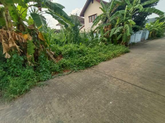 ขายที่ดิน 61 ตารางวา ซอยบางเลน 27 ตำบลบางเลน อำเภอบางใหญ่ นนทบุรี 2