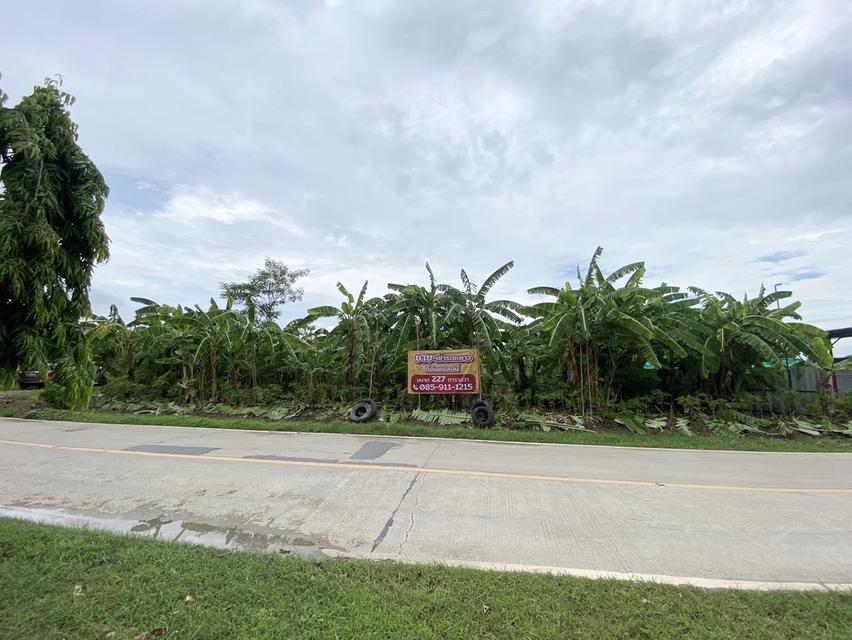 ขายที่ดินแปลงสวย เจ้าของขายเอง 227 ตรว. อ.บางใหญ่ นนทบุร 1