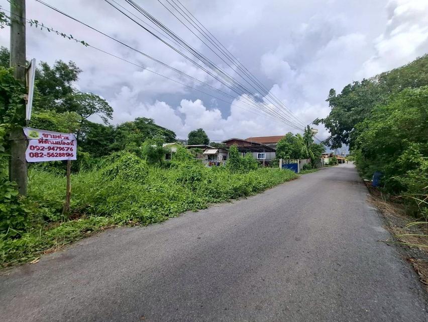 ขายที่ดินคลอง 5 ตะวันออก 7 ถนนเลียบคลอง 5 คลองหลวง ปทุมธานี 3
