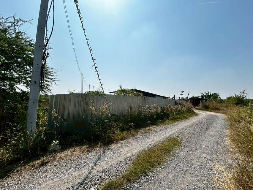 ขายที่ดินพร้อมสิ่งปลูกสร้าง ซอยลำลูกกา 151 คลอง8 2