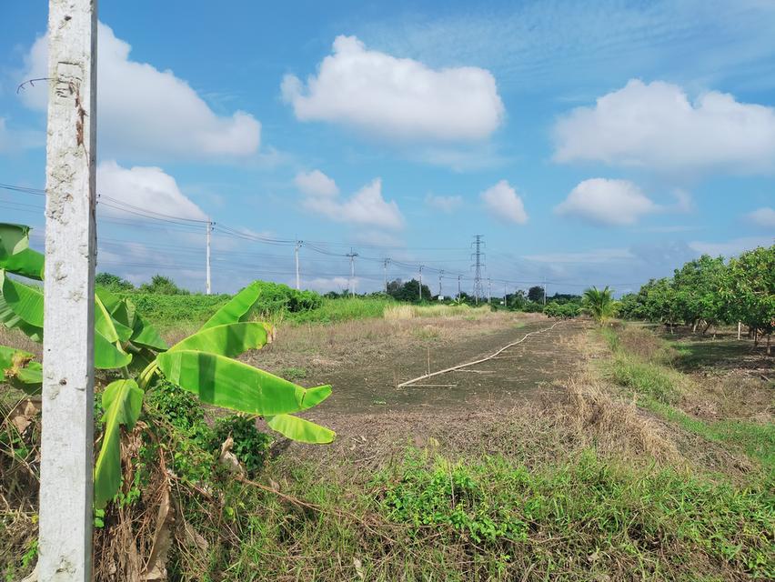 ที่ดิน 2