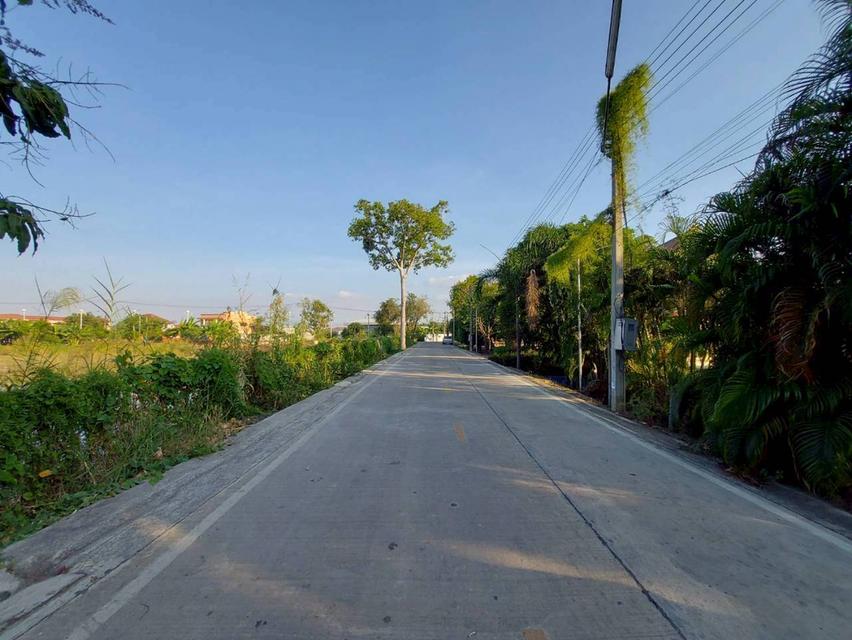 ขายที่ดินเปล่า ถนนบางกะดีสายใน ซอย13 3