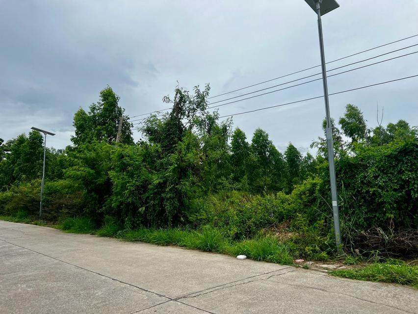 ขายที่ดินใกล้ตลาดไท ตำบล คลองสอง อำเภอคลองหลวง ปทุมธานี 10