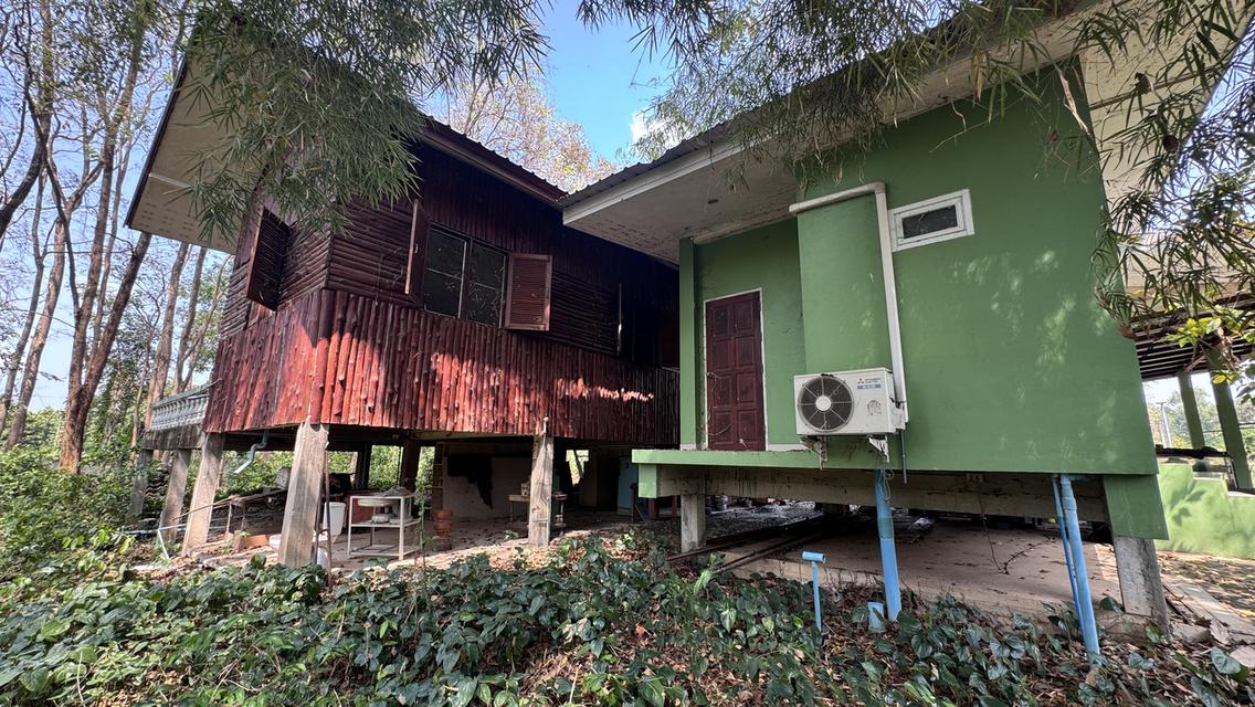 ขายที่สวน11 ไร่ พร้อมบ้าน2 หลัง มีรั้วล้อมรอบ ประตูรีโมท และรั้วล้อมสวน4ด้าน พร้อมต้นประดู่ ต้นกล้วย มะม่วง กระท้อน มะนาว มะกรูด 2