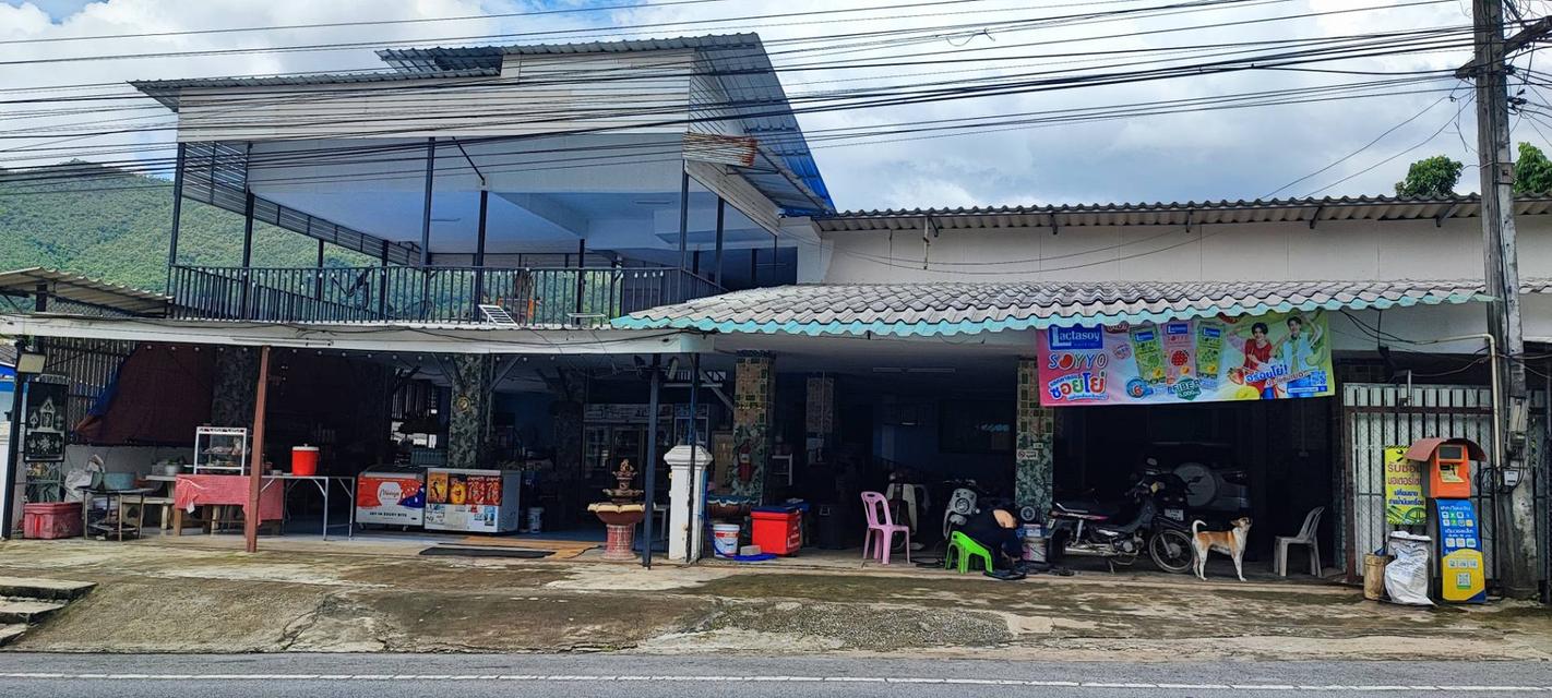 🏡🌿 ขายที่ดินพร้อมสิ่งปลูกสร้าง 10 ไร่กว่า ตรงข้ามโรงแรมกัซซัน ขุนตาน กอล์ฟ แอนด์ รีสอร์ท อ.แม่ทา จังหวัดลำพูน