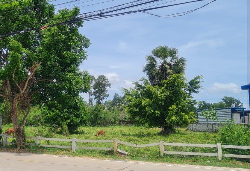 ขายที่ดินห้วยใหญ่ พัทยา 4 ไร่ ซอยห้วยยายจีนใกล้หาดจอมเทียน 11 กม. อ.บางละมุง ชลบุรี 6