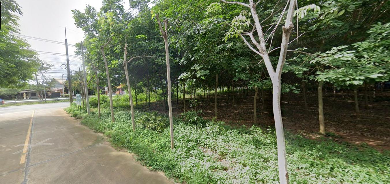 ที่ดินติดสุขุมวิทระยอง 4