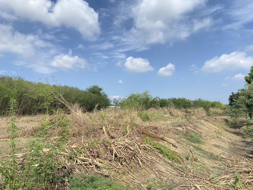 ที่ดินติดอมตะชลบุรีเรียบด่วนมอเตอร์เวย์ติดถนนทำเลทองบ้านเก่าบางนางหมู่ที่5 จำนวน22ไร่3งานถมแล้วโฉนดพื้นที่สีม่วงลายทำโรงงานได้ที่อยู่อาศัยได้ 5