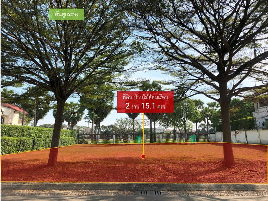 ขายที่ดิน บ้านไม้ล้อมเรือน/พร้อมพันธุ์ ปาร์ค (215 ตรว.) แปลงมุมสุดท้าย วิวสวยที่สุดในโครงการ 10