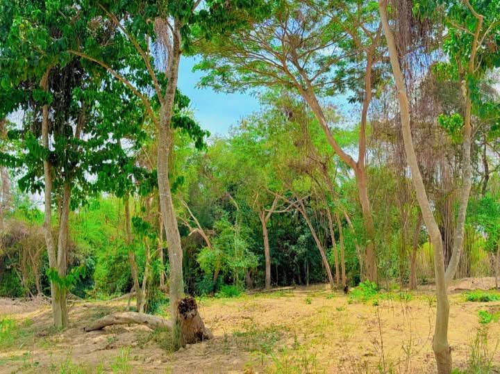 ที่ดินติดแม่น้ำเพชรบุรี ราคาถูก อากาศดี ใกล้ชุมชน 3