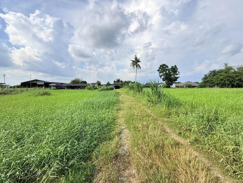 ขายด่วนที่ดิน 182 ตรว เหมาะสร้างบ้านสวน ต.สวนป่าน อ.เมืองนครปฐม จ.นครปฐม 6