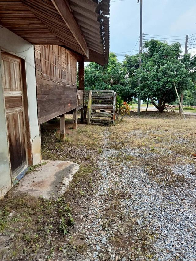 ที่ดิน จังหวัดเชียงใหม่ 7