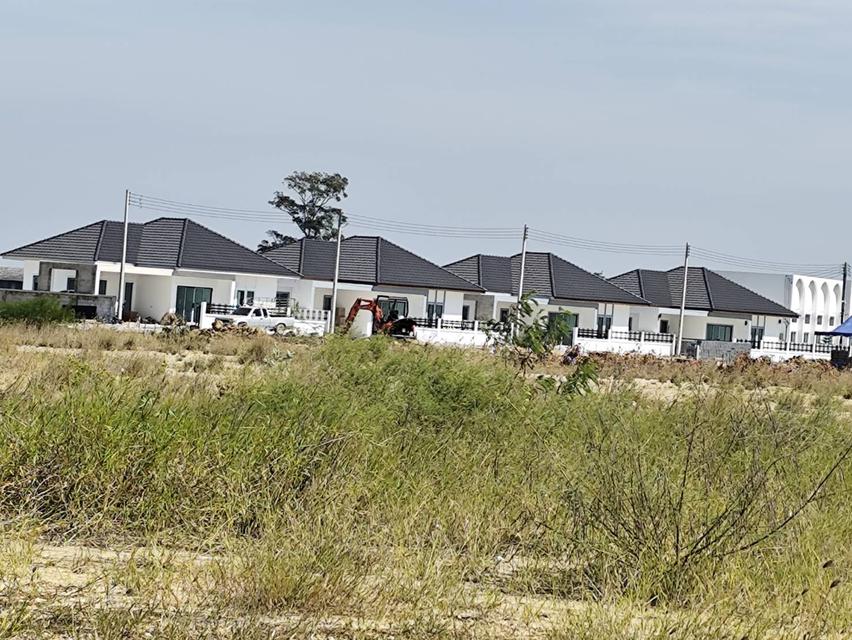 ขายที่ดินเปล่า แปลงธรรมชาติ ท่ามกลางไร่อ้อย ใกล้ มหาวิทยาลัย เกษตรศาสตร์ วิทยาเขตกำแพงแสน นครปฐม 6