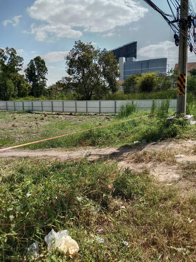 ขายที่ดินเปล่า บางปะอิน 9