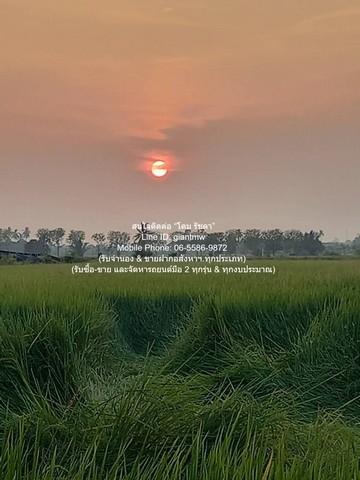 บ้าน ขายบ้าน 2 ชั้น พร้อมที่ดินทุ่งนา อ.นครชัยศรี นครปฐม 11-3-13 ไร่ ราคา 23,565,000 บาท 4 ห้องนอน 4713 ตารางวา 23565000 8