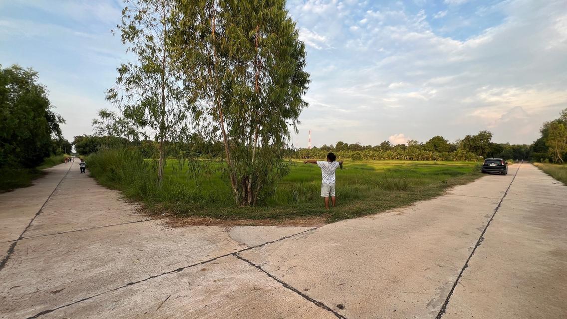 ที่ดิน จังหวัดสระแก้ว 12 ไร่ 1 งาน 79.6 ตร.ว. 4