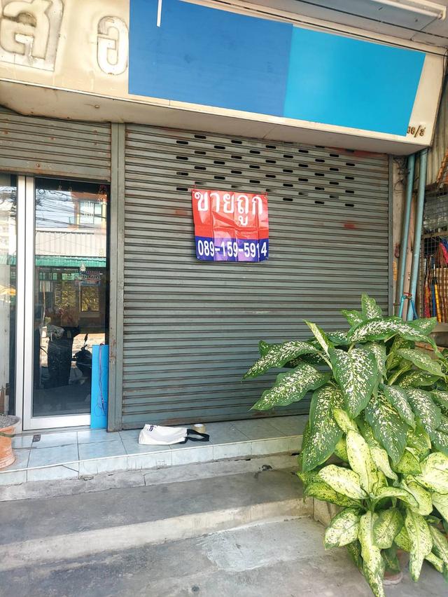 ขายอาคารพาณิชย์ 3.5 ชั้น 2