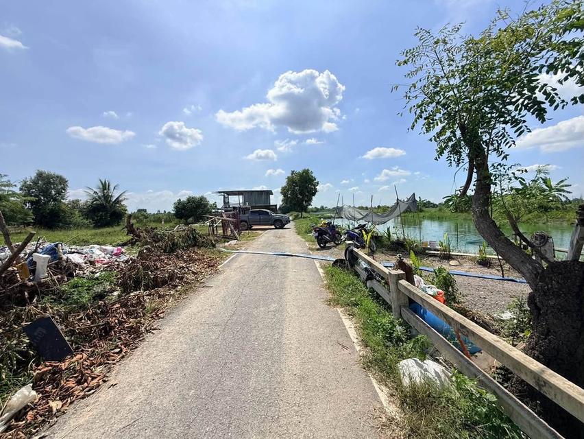 ขายด่วนที่ดิน 100 ตรว ติดถนนลาดยางสาธารณะ ซ.ประทุม บางบัวทอง นนทบุรี 4