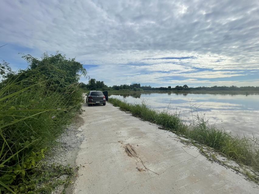 ขายที่นาพนมสารคาม 4 ไร่ หลังตลาดพนม ใกล้ถนนเส้น 3444 – 850 เมตร ใกล้ถนนเส้น 3481 – 1 กม. จ.ฉะเชิงเทรา 4