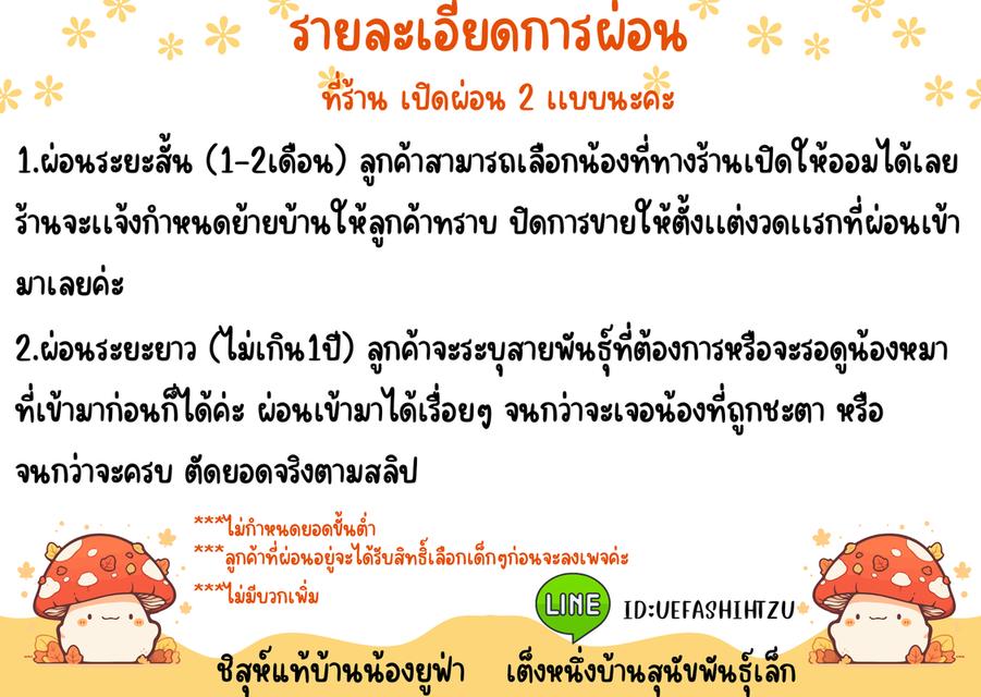 เปิดผ่อนลูกสุนัขพันธุ์เล็ก 6