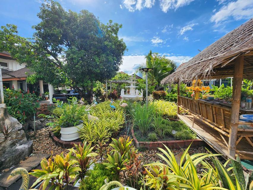 ขายที่ดินใจกลางเมือง เนื้อที่ 2 ไร่เศษ ซ.โชคชัยร่วมมิตร(ซ.รัชดาภิเษก 19 หรือ ซ.วิภาวดี 16) ลาดยาว จตุจักร กทม. 11