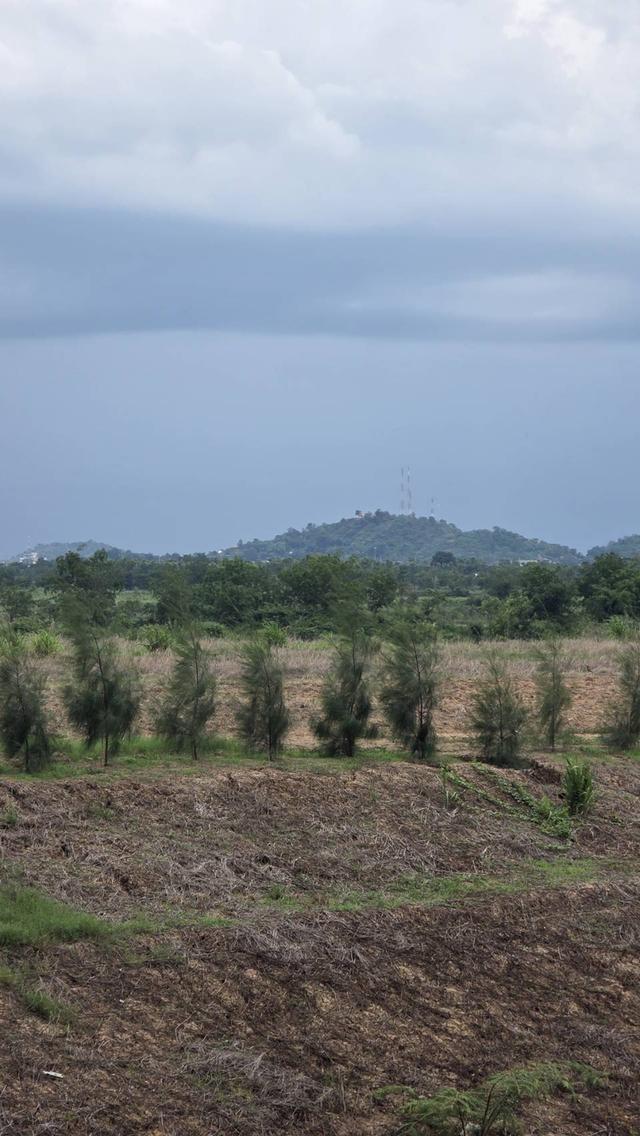 ขายที่ดินนครสวรรค์ อ.เมือง ติดถนนใหญ่ 3