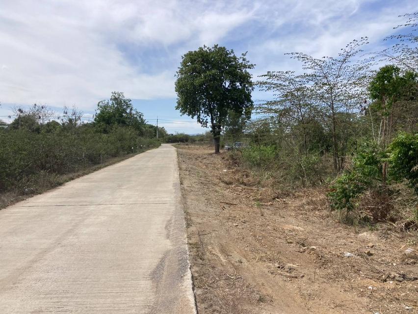 ขายที่ดินเปล่า หัวหิน ทับใต้ 12-3-13 ไร่ ติดถนน ทำเลดี ใกล้แม็คโคร ปราณบุรี 16