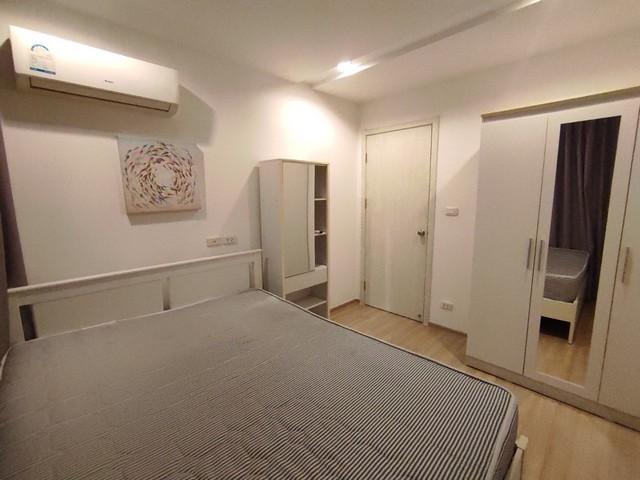 Rent or Sale Artemis Sukhumvit 77 near BTS Onnut, 1 bed pool view 3