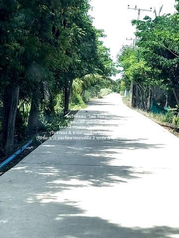 พื้นที่ดิน ขายที่ดินทางการเกษตร (ต้นดอกรัก) อ.นครชัยศรี นครปฐม 4-1-67 ไร่ ราคา 8,835,000 บาท พื้นที่เท่ากับ 1767 ตร.ว. ไ 2