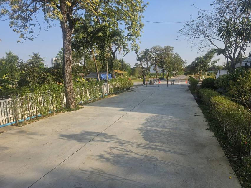 ให้เช่าที่ดินเปล่า นนทบุรี ติดถนนนครอินทร์ เชิงสะพานพระราม 5 ถนนทางเข้ากว้าง 6 เมตร 8