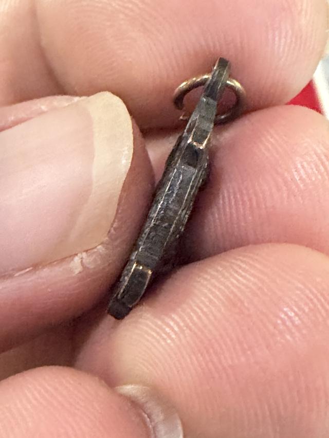 เหรียญเต่าหลวงปู่หลิว วัดไร่แตงทอง รุ่นทองฟู ปี2558 3