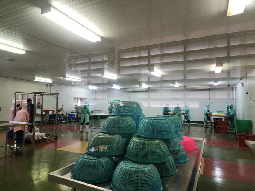 WAN401โรงงานแปรรูปสินค้าเกษตร หอม กระเทียม พริกแห้ง ขิง ในตลาดไท   ปทุมธานี ขาย 65,000,000  บาท (ราคาต่อรองได้ค่ะ) 3
