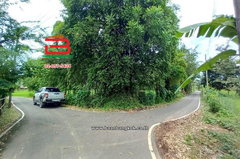 ที่ดินเปล่า บ้านเนินหอม(ม.4) เนื้อที่ 29-0-52 ไร่ ( เทศบาลซอย 12) ตำบลเนินหอม อำเภอเมืองปราจีนบุรี ปราจีนบุรี 8