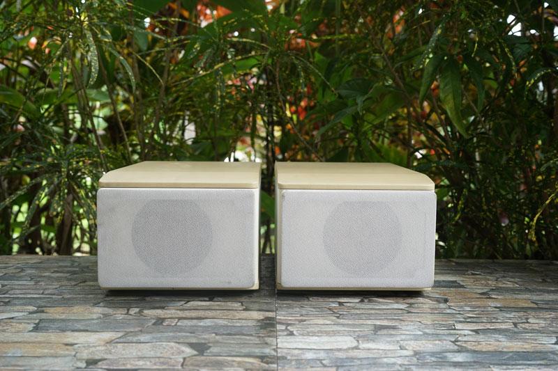 ลำโพง JVC-SP-EXS1-M กรวยไม้ (ตู้ขาว) -เล็กพริกขี้หนู