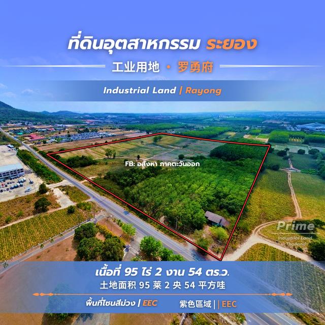 ที่ดินผังม่วง สำหรับสร้างโรงงาน พื้นที่ 95 ไร่ ระยอง 1